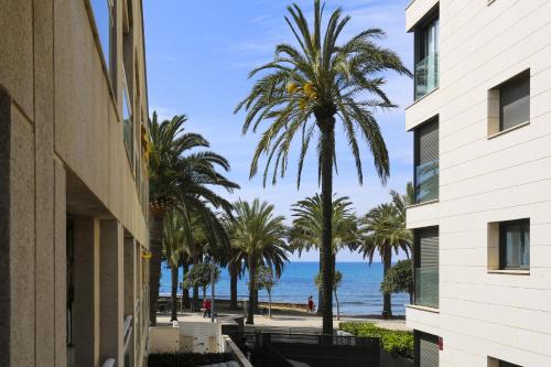 Gongora Cambrils