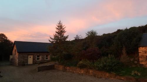 a house with a pine tree in front of it at Tara Hill Estate in Gorey