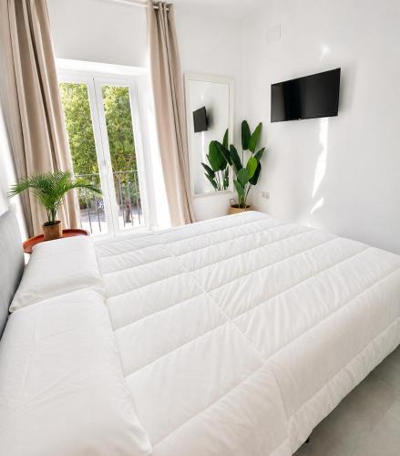 Apartamento Isasa