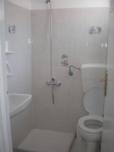 a bathroom with a shower with a toilet and a sink at Armonia Pension in Ios Chora