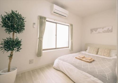 501 - Vacation STAY 15423