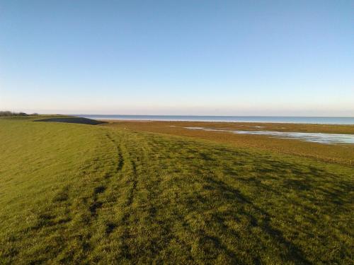 a grassy field with the ocean in the background at Bed & Breakfast Meinsma in Moddergat