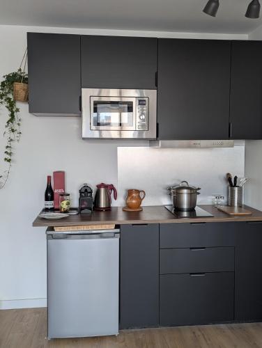 Grand appartement lumineux entièrement rénové