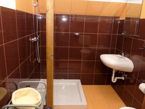 a bathroom with a sink and a toilet and a shower at Ipoly Party-Ház in Balassagyarmat