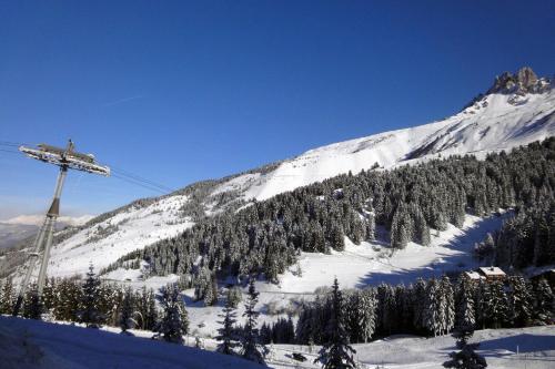 Résidence Plein Soleil - AGRÉABLE 2 PIÈCES SUR LES PISTES MAE-7626