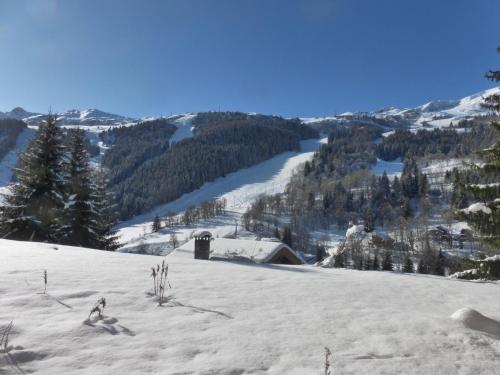 Résidence Le Vallon - Appartement 2 pièces pour 4-5 personnes situé à Méribel centre proche des commerces et des pistes de ski MAE-1766