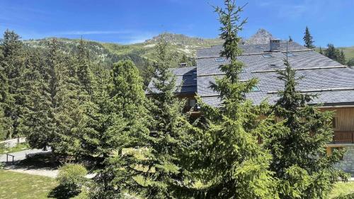 Résidence Les Cytelles - Studio pour 4 personnes à Méribel Altiport, au pied des pistes et proche du golf MAE-1804