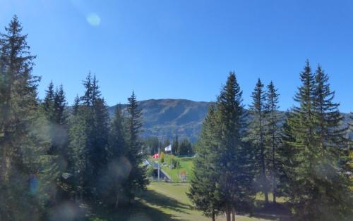 Résidence Les Dauphinelles - 2 pièces cabine pour 4/6 personnes situé à Méribel Altiport proche des pistes de ski et du golf MAE-2035