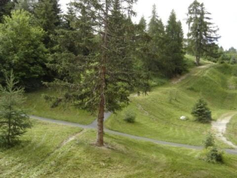 Résidence Aiguille Grive Bat Ii - Appartement 2 pièces en duplex pour 5 personnes proche des pistes dans le village de Charmettoger à Arc 1800 MAE-2075