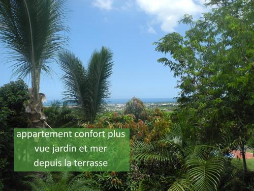 an airport sign with palm trees in the background at Les Hibiscus de la Rivière in Saint-Louis