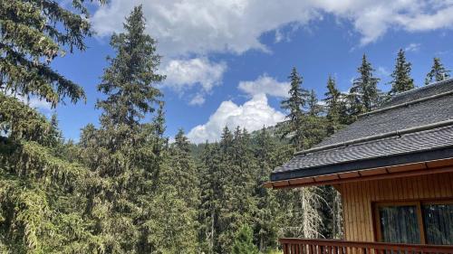 Résidence Les Eperonnelles - Appartement 3 pièces pour 6 personnes situé à Méribel Altiport, proche des pistes de ski et du golf MAE-2644