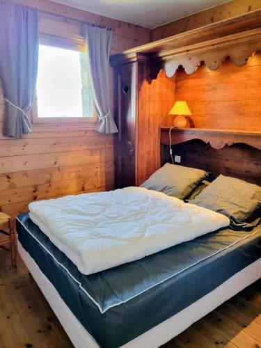Résidence Alpages Du Chantel - Appartement 3 pièces 4 personnes MAE-5424