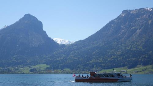 a boat on a lake with mountains in the background at Lake View Apartment in St. Wolfgang