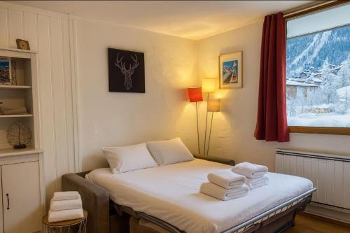 Cosy studio with view of Brévent