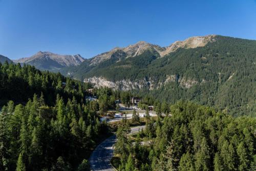 Résidence Le Belvedere - Appartement 2 pièces au coeur des Orres 1650 MAE-6294