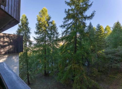 Résidence Les Ecrins - Studio au calme vue sur la forêt de Mélèzes 1650 MAE-9594