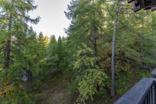 Résidence Les Ecrins - Studio au calme vue sur la forêt de Mélèzes 1650 MAE-9594