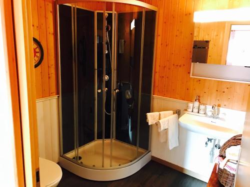 a bathroom with a shower and a sink at Auberge de l'Assesseur - Mont-Soleil in Saint-Imier