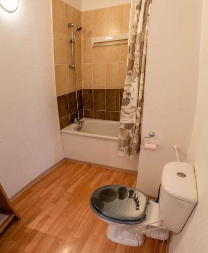 Résidence Les Terrasses Du Soleil D'or - Agréable duplex avec vue sur les pistes MAE-4534