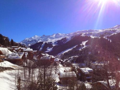 Résidence Jardins D'hiver Du Morel A - Appartement cosy et charmant proche des pistes MAE-4074
