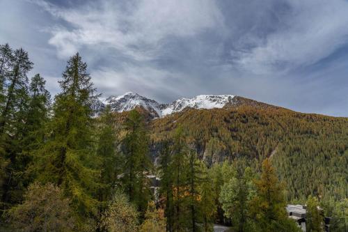 Résidence Les Ecrins - Adorable studio au coeur de la forêt des Orres MAE-6224