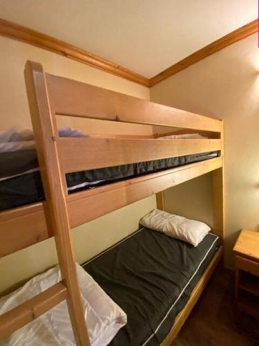 Résidence Alpina Lodge - Séduisant et chaleureux appartement pour 6pers. au pied des pistes MAE-5631