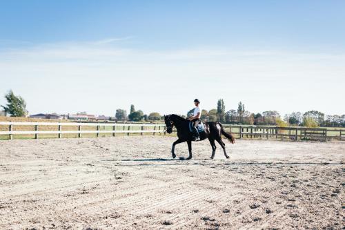 a person riding a horse in the dirt at Het Zwaluwnest in Middelkerke