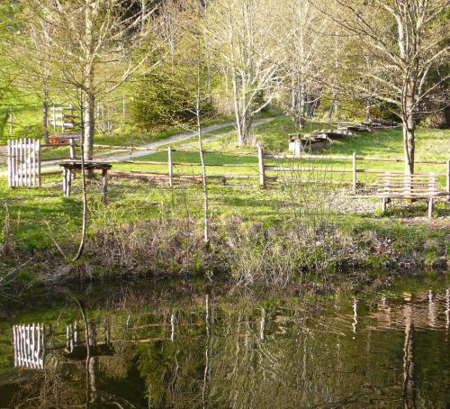 a pond with a picnic table next to a fence at Unplugged Almhütte Waldbauer in Reichenfels