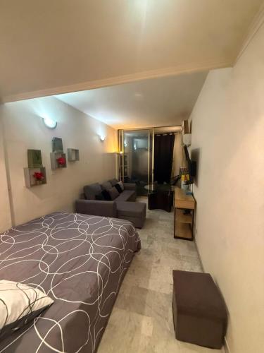 Grand studio climatisé avec place privative