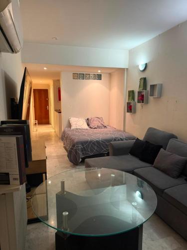 Grand studio climatisé avec place privative