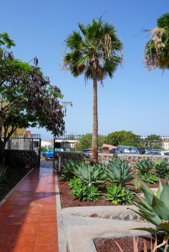 Arena Living Maspalomas VV