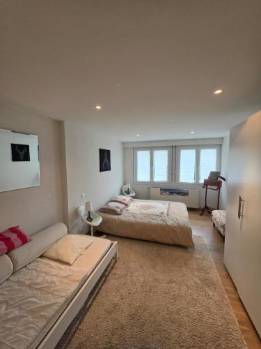 Appartement au centre, proche du départ de ski