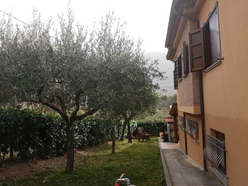Zahrada ubytování Le Chalet del Pollino