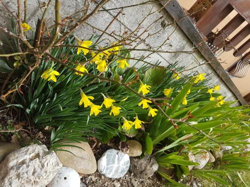 Zahrada ubytování Le Chalet del Pollino