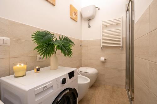 Historic Center Boutique - 300mt to Colosseum, 5min to Metro, A-C