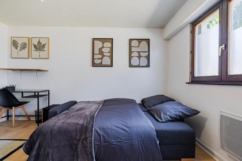 Studio Belfort - Centre Ville Strasbourg - Quartier calme - Espace vert