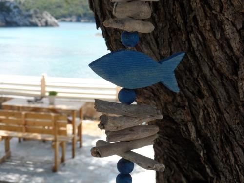 Gallery image of Kalypso Studio in Paleokastritsa