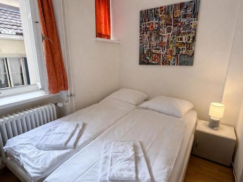 Cozy Studio in the Heart of Zurich - Stork 25