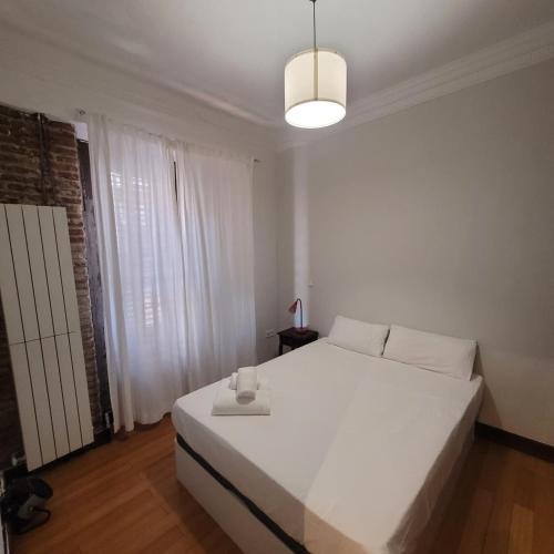 Centrally located flat in Madrid for 6 people