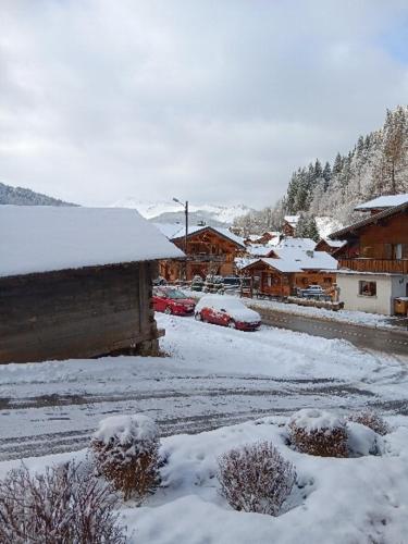 Le Morzinois