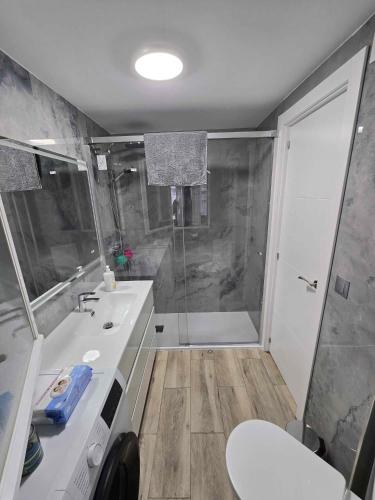 DANIEL Flat SWIMMING POOL BENIDORM LEVANTE