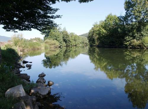 a view of a river with trees on the side at Apartment Gorska vila in Ogulin