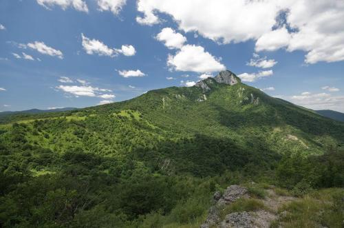 a mountain covered in green trees with a cloudy sky at Apartment Gorska vila in Ogulin