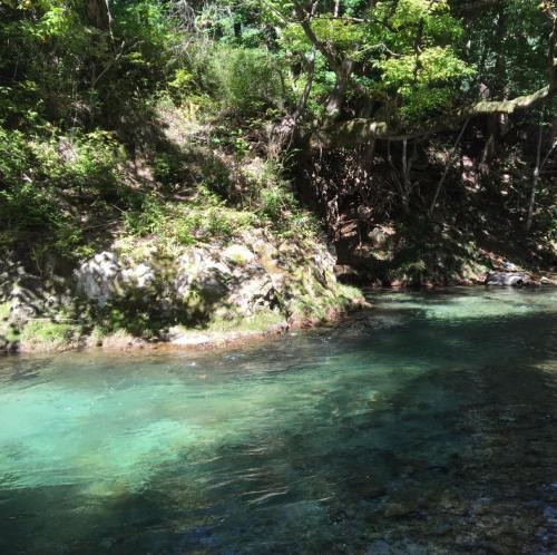 Miyori Hometown Experience Village Campsite (Nakam - Vacation STAY 34964v