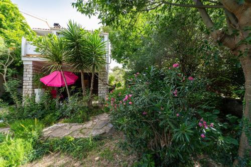 CC Zorro with Garden