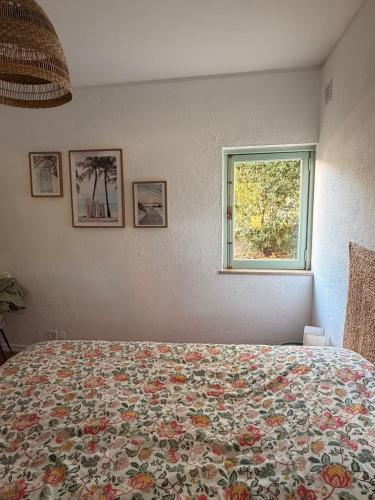 Casa Alegria