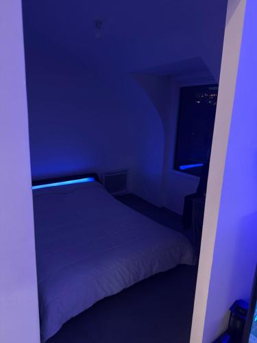 Appartement NICE VILLE