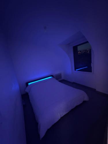 Appartement NICE VILLE