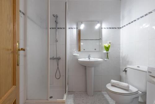 Apartment Carlos V