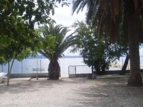 Apartments and Rooms Juradin - Classic One Bedroom Apartment with Terrace A7
